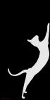ORIENTAL-Silver ORIENTAL Rouge Chat oriental Showroom - Inkjet sur plexi, éditions limitées, numérotées et signées .Peinture animalière Art et décoration.Images multiples, commandez au peintre Thierry Bisch online